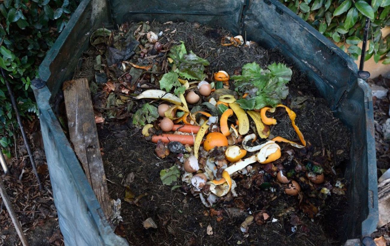 Sodininkai lieka be žado: šis triukas paverčia lapų kalnus aukso verte trąšomis per 4 mėnesius