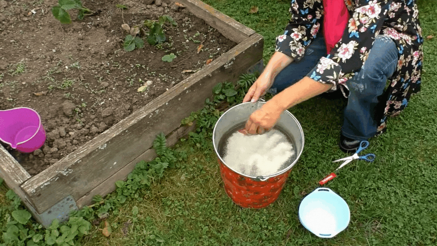 Agronomai įspėja: ši populiari trąšos kenkia labiau nei padeda, bet niekas apie tai nekalba