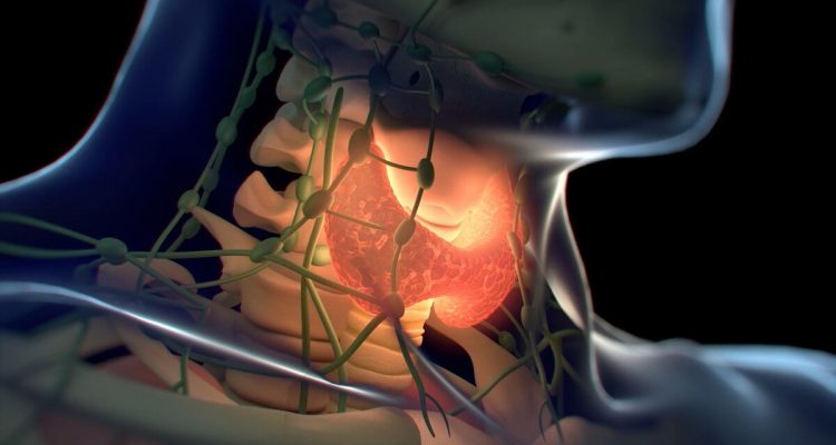 Gydytojai išvardijo penkis ankstyvuosius įspėjamuosius skydliaukės sutrikimų požymius