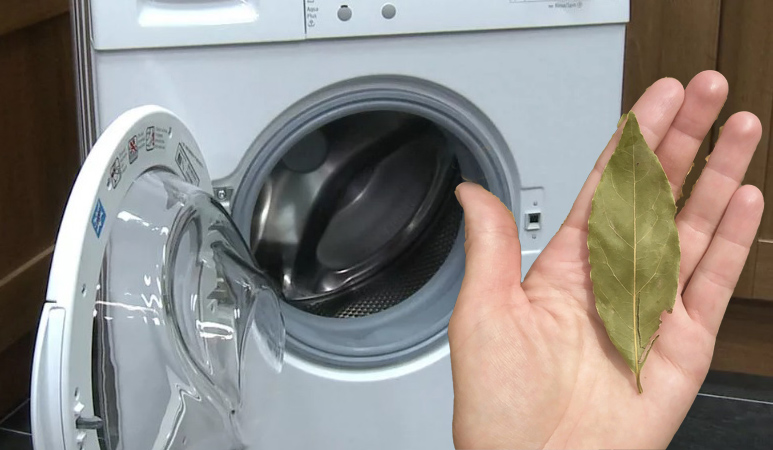 Lauro lapai ir pipirai skalbiant: ar verta išbandyti šiuos senus metodus.