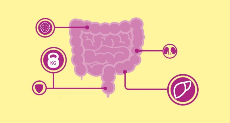 Trys paprasti būdai, kaip pagerinti žarnyno sveikatą, teigia mokslininkai