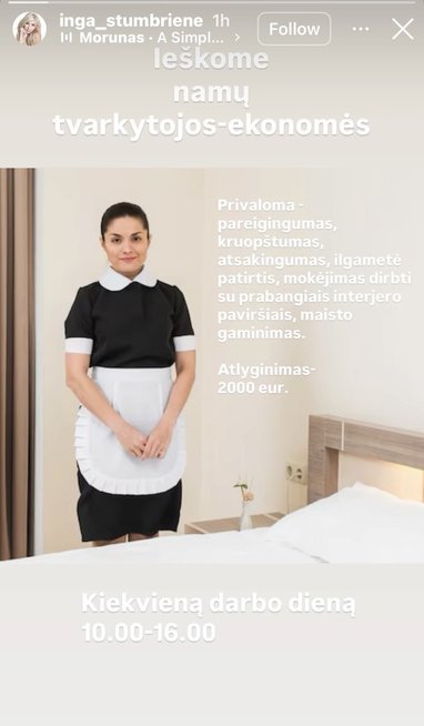 Ingos Stumbrienės darbo pasiūlymas (nuotr. Instagram)