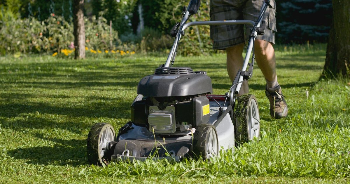 Pjaudami žolę daugelis daro 1 klaidą: nekartokite jos