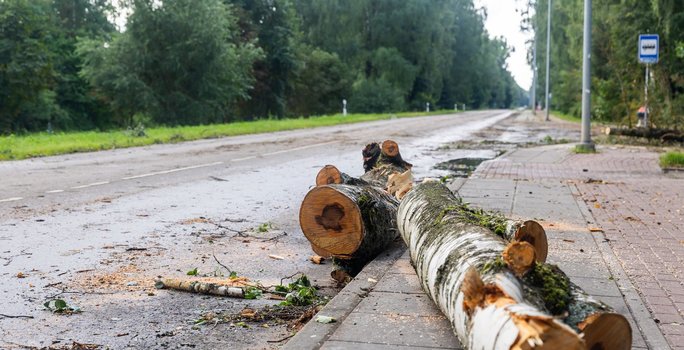 Iš kelininkų – naujausia žinia dėl apsemto viaduko Avižieniuose