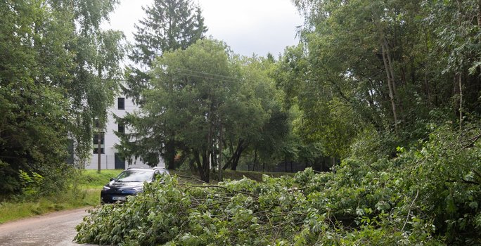 Audra smogė ir Varėnos rajonui: gyventojai dalijasi sukrečiančiais vaizdais
