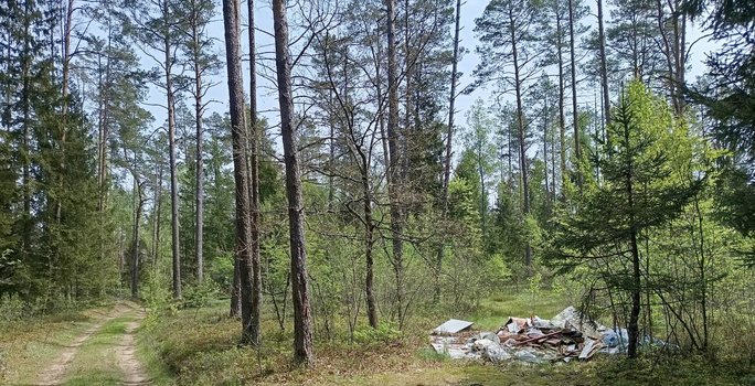 Pamatę, kas vyksta Lietuvos miškuose, nebegali tylėti: parodė visiems