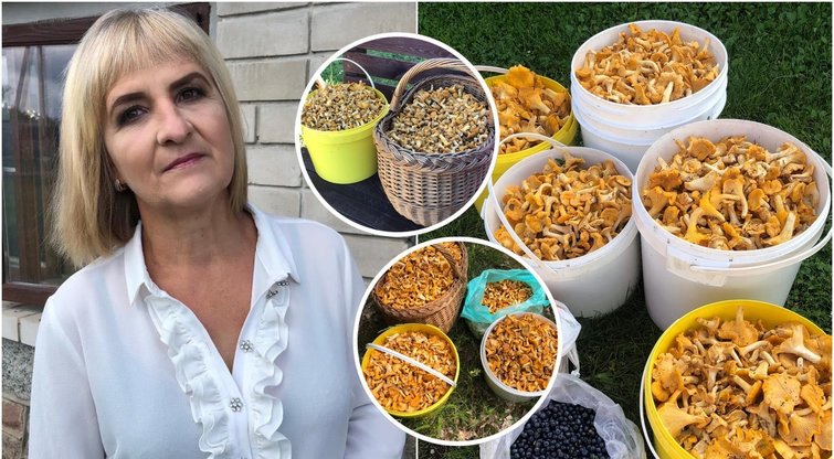 Grybų karaliene praminta Ramunė stebina visus: 1 vietoje rado 33 kg grybų