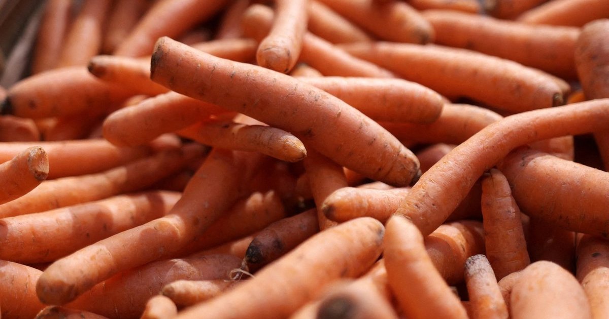 Morkos augs didesnės ir sveikesnės: nedarykite 1 dažnos klaidos