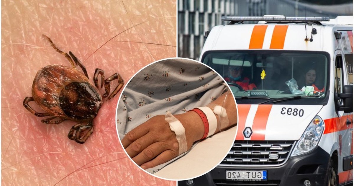 Ragina pasisodinti šį augalą sode: erkių neliks nė kvapo