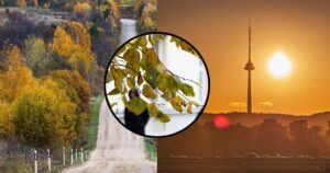 Jau žino, koks bus ruduo – visiems siunčia netikėtą žinią dėl bobų vasaros