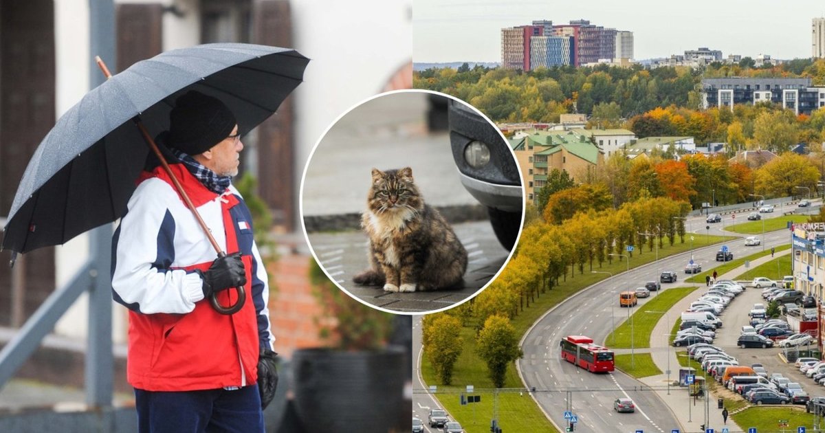 Ruduo žengs su trenksmu – užgrius ciklonų sistema: sinoptikė turi liūdnų žinių