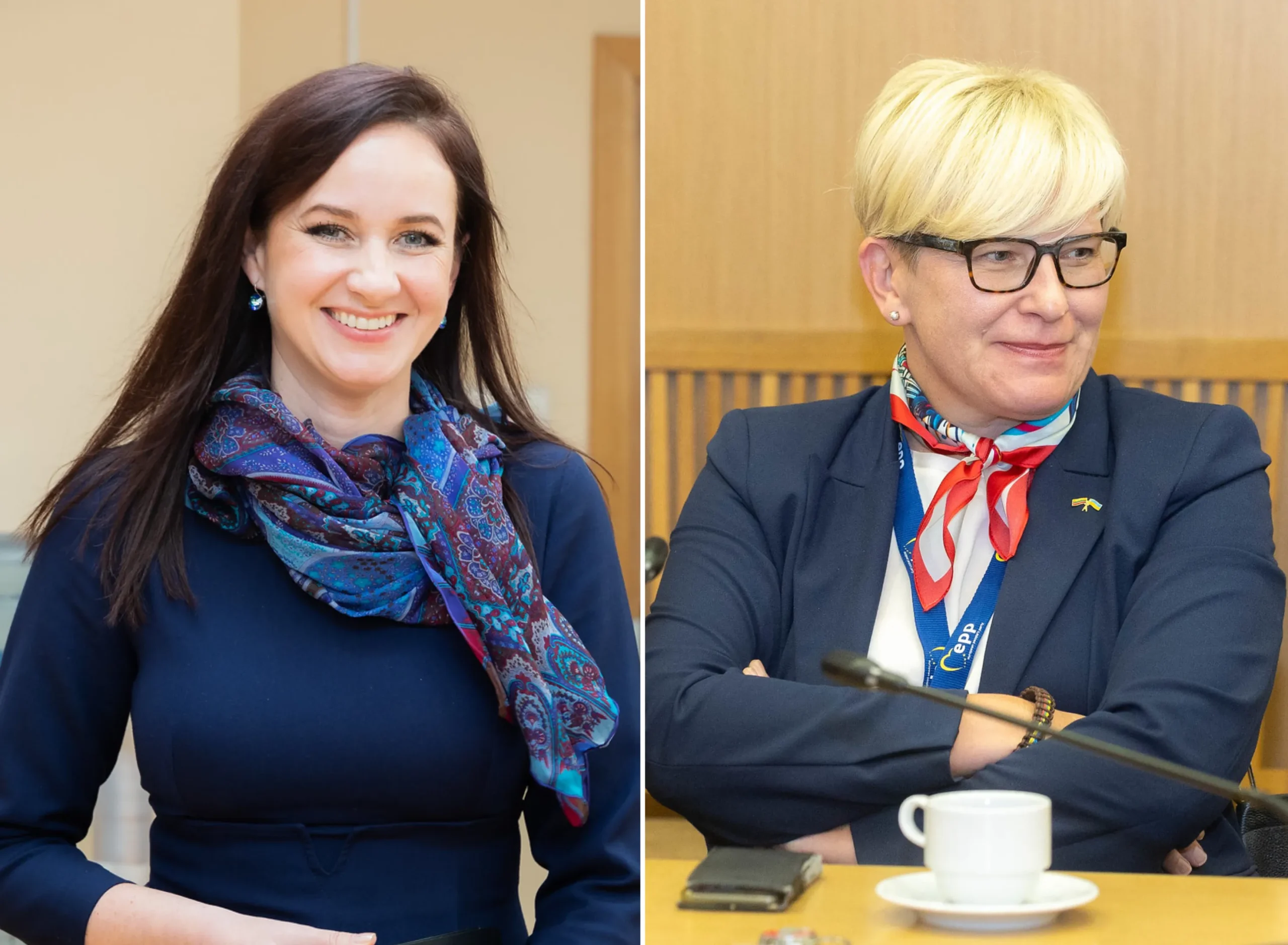 Politinis paradoksas: kodėl buvusios premjerės atrodo mielesnė nei dabartinis?